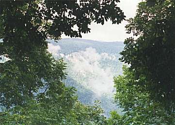 Pohled od hradní studánky na sever