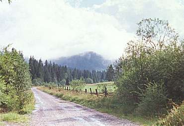 Kýčovitá cesta